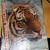 6-1960's American Rifleman Magazines. 1-1946 Liberty 1-1959 Playboy 6 thumbnail