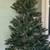 Christmas tree 3 thumbnail