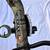 PSE Rally compound bow 4 thumbnail