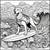 Shredding the Gnar!  Surfing Dogs Adult Grayscale Coloring book 5 thumbnail