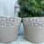 Planter Pots 1 thumbnail