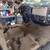 Parts ONLY off 05 Tahoe, No Engine or Trans, Good Body & Interior 13 thumbnail