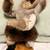 "Alaskan"? doll..dancing? 1 thumbnail