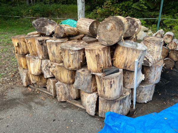 Maple Firewood 1