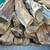 Aged Split FIREWOOD - wheelbarrow full 2 thumbnail
