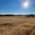Pasture or orchard for lease - approximative 200 acres 5 thumbnail