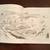Signed First Edition The Stray by Betsy James Wyeth and Jamie Wyeth 6 thumbnail