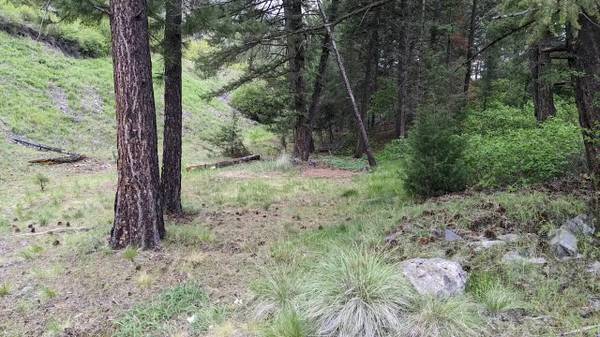 $349,000 Alberton Gorge River Front Property (Alberton, MT)63657010300675121