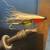 Fishing Fly 5 thumbnail