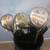 Golf Clubs- Pal Joey Complete Set With Large Cart Bag 6 thumbnail