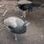 Peacocks, Peahens, Peachicks, Peafowl $85-$400) 16 thumbnail