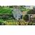LANDSCAPE- GARDENING, CLEAN UPS, HAULING, CONCRETE, TREE SERVICE, SPRINKLERS, AN 5 thumbnail