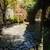 Beautiful room and house, all utils incl Dec 1st avail Male pref 14 thumbnail