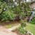 Charming 1BR/1BA apartment-N Garfield St Only*$1050!! 1 thumbnail