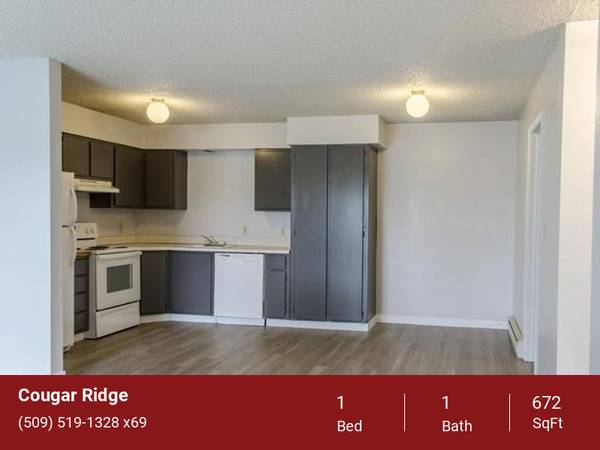 $1,040 / 1br - 672ft2 - Free Off-Street Parking, On Site Laundry Facilities, Green Space (2024 NE Terre View Dr. Pullman, WA. 99163)63980822628355120