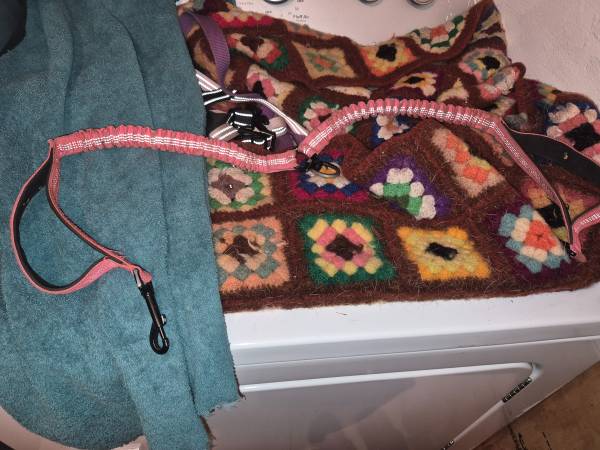 Dog leash for two dogs 1