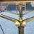 Antique Glass & Wood Cased Apothecary/Gold Scale. 1800s 8 thumbnail
