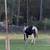 Racking Mare 3 thumbnail