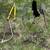 Garden tools 1 thumbnail