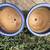 Two Ceramic Pots Planters Flowerpots - Medium - Royal Blue 5 thumbnail
