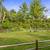 1 Bed / 1 Bath. Convenient in-home washer and dryer included. 17 thumbnail