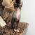 Sphynx cat 2 thumbnail