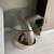 DOLPHIN SIDE TABLE WITH MARBLE BASE x 2..price in pesos for one 2 thumbnail