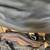 Designer Purses Women's Handbags - MK, Vince Camuto, The Sak & More 9 thumbnail