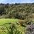 Redwood Retreat Mountain Home 12 thumbnail