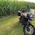BMW F700GS 3 thumbnail