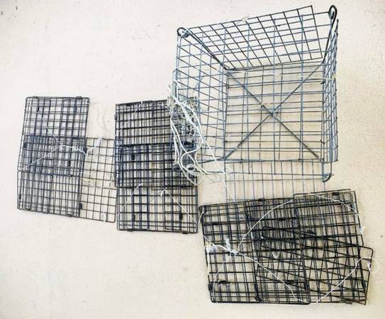 Foldable nets for crabbing blue crabs 1