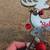 Small Reindeer Believe Holiday Decor 10 thumbnail