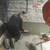 Blocklayer. Masonry and Concrete Expert. Saw Cutting. More 3 thumbnail