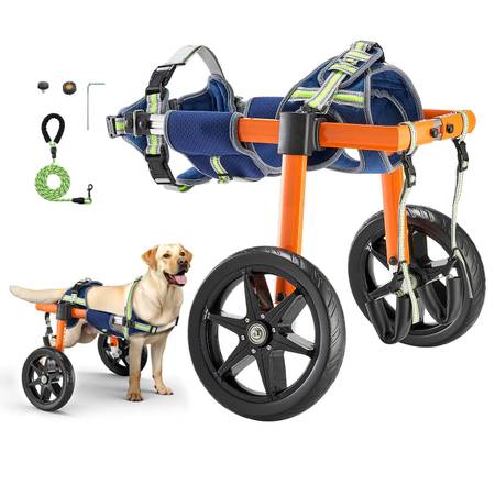 Back leg support wheels and harness for German-shepherd sized dogs 1