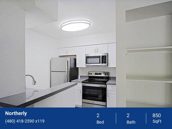 Ceiling Fans, Wood Inspired Flooring, Newly Renovated Homes 1