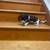 Dachshund 4 thumbnail