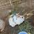 4 giant felamle rabbits 2 thumbnail