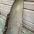 41-46 Chevy truck hood 4 thumbnail