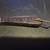 Antique Pocket Knife 9 thumbnail