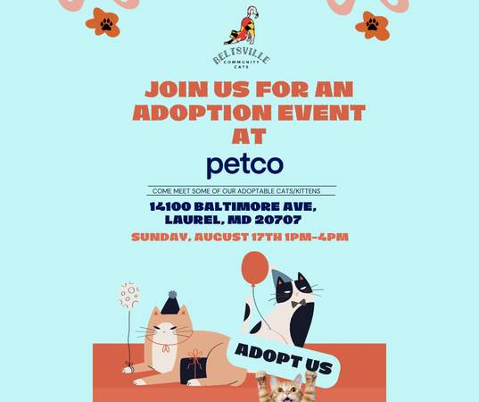 Adoption Event at Petco 1