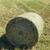 Horse hay 1 thumbnail