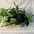 Faux Pothos & Monstera Plant 1 thumbnail