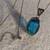 LARGE VINTAGE ROYAL BLUE FACETED STONE & STERLING PENDANT W/24" STERLI 1 thumbnail