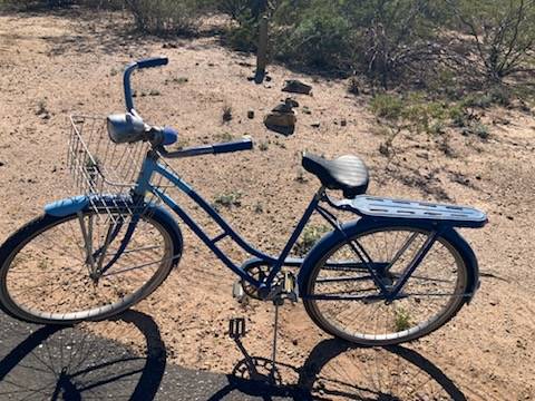 FEMALE  1960's vintage bike Sears 1