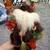 Exit 9 Flea Market 5 thumbnail