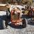 FORD 600 GAS TRACTOR , 3 PT HITCH 1 thumbnail