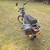 1984 puch maxi sport ls, 2 speed, 2 stroke 3 thumbnail