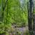 105 acres with 3500 ft Crystal Brook 19 thumbnail