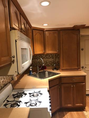 $1,700 / 1br - 500ft2 - Cute lower level  studio (Wilmington)63996544614786123