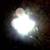 Lot of 7 LED Flat Panel Lights 3 thumbnail